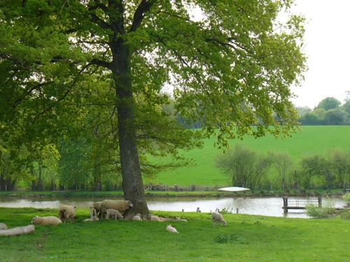 Gîte Vigoulant, 5 pièces, 11 personnes - photo_16843228940