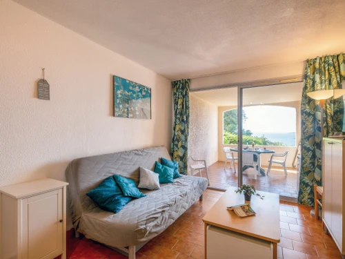 Appartement Sainte-Maxime, 2 pièces, 4 personnes - photo_8439084236