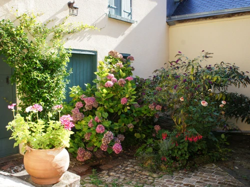 Gasthaus Montmirail, 2 Schlafzimmer, 4 Personen - photo_14984569190