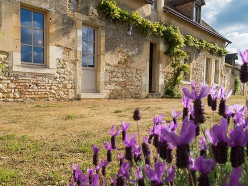 Casa rural Bazouges-sur-le-Loir, 4 dormitorios, 8 personas - photo_14984571311