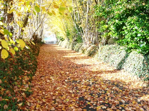 Gîte Coulans-sur-Gée, 5 pièces, 8 personnes - photo_14984568530