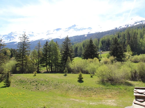 Apartment Lanslebourg-Mont-Cenis, 1 bedroom, 4 persons - photo_14301872036