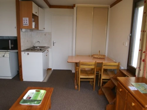 Appartement Les Adrets-Prapoutel, 1 pièce, 4 personnes - photo_14821538741