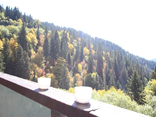 Studio Chamrousse, studio flat, 4 persons - photo_17997961290