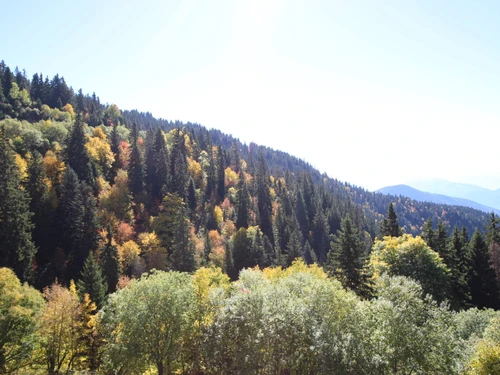 Studio Chamrousse, studio flat, 4 persons - photo_17997961290