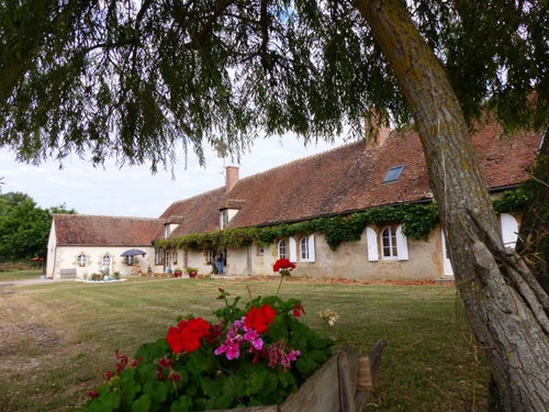 Gîte Lurcy-Lévis, 5 pièces, 10 personnes - photo_17937751309