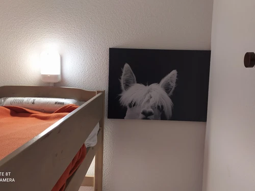 Apartamento Chamrousse, 1 dormitorio, 6 personas - photo_18320992857