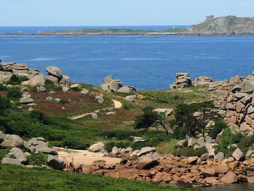 Apartment Perros-Guirec, 1 bedroom, 3 persons - photo_14791164988