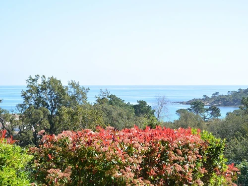 Appartement Sari-Solenzara-Favone, 3 pièces, 5 personnes - photo_14442529622