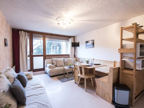 Studio Saint-Lary-Soulan, studio flat, 4 persons - photo_12518359942