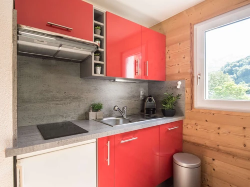 Apartment Saint-Lary-Soulan, 2 bedrooms, 6 persons - photo_10425339147