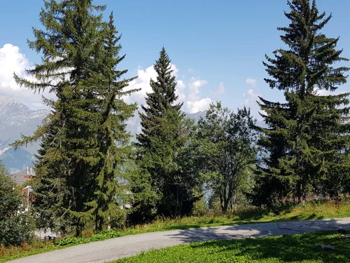 Studio Les Arcs 1800, 1 pièce, 5 personnes - photo_12573363125