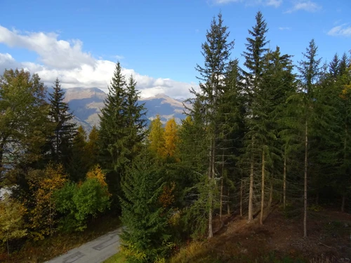 Studio Les Arcs 1800, studio flat, 4 persons - photo_12573337152