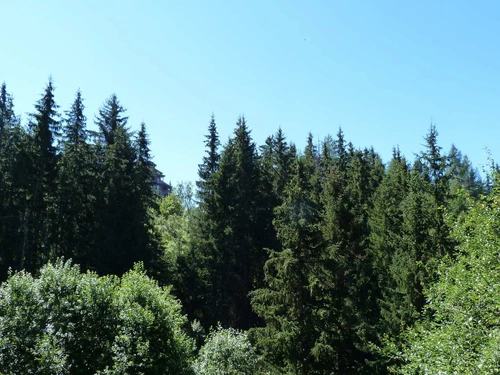 Apartment Les Arcs 1800, 3 bedrooms, 8 persons - photo_14430893413