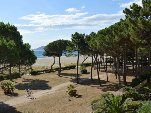 Appartement Argelès-sur-Mer, 2 pièces, 5 personnes - photo_5663951280