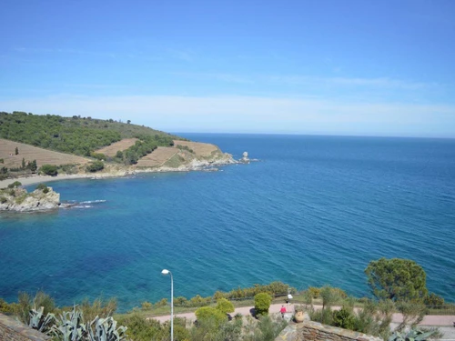 Appartement Banyuls-sur-Mer, 2 pièces, 4 personnes - photo_8695054224