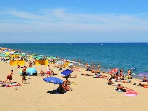 Appartement Le Barcarès, 2 pièces, 4 personnes - photo_15334356094