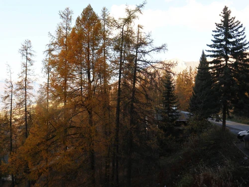 Apartment Les Orres, studio flat, 2 persons - photo_18414262532