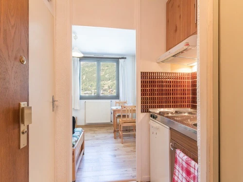 Apartment La Salle-les-Alpes, studio flat, 2 persons - photo_14208370222
