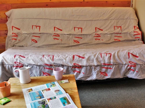 Apartment Risoul, studio flat, 4 persons - photo_17059572567