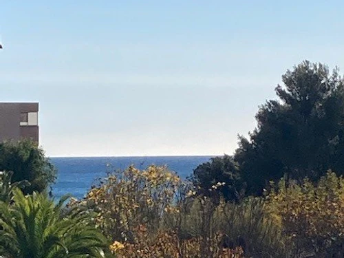 Apartment Bormes-les-Mimosas, 1 bedroom, 4 persons - photo_15385291062