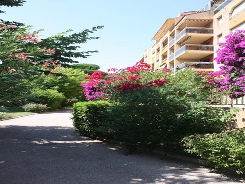 Ferienwohnung Hyères, 1 Schlafzimmer, 4 Personen - photo_10785190122