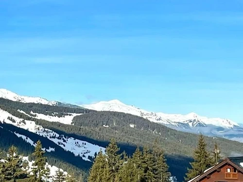 Apartamento Méribel, estudio, 2 personas - photo_17065873369