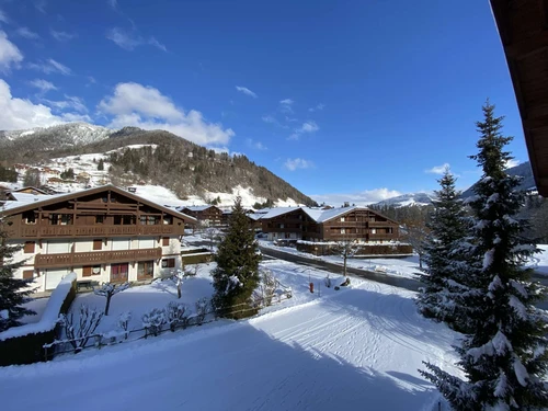 Apartment Praz-sur-Arly, studio flat, 4 persons - photo_15212549058