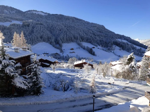 Studio Le Grand-Bornand, 1 pièce, 4 personnes - photo_16809046097