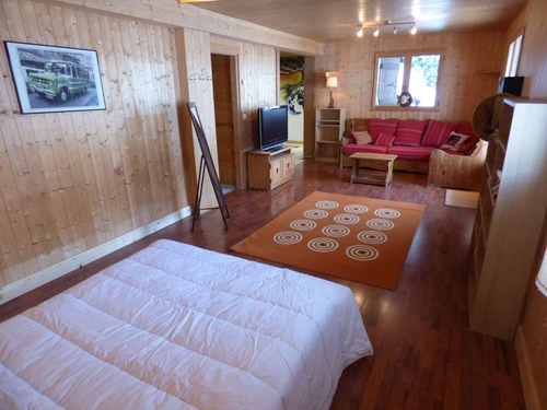 Studio Le Grand-Bornand, studio flat, 2 persons - photo_16809018747