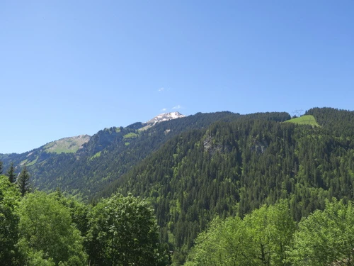 Apartment Châtel, 1 bedroom, 4 persons - photo_12477114381