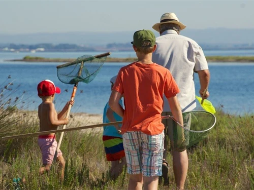 Ferienwohnung Marseillan-Plage, 1 Schlafzimmer, 6 Personen - photo_12728140940