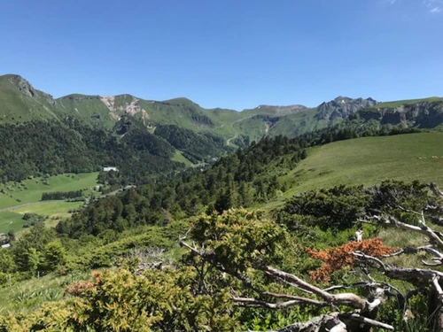 Studio Le Mont-Dore, studio flat, 3 persons - photo_15314998977