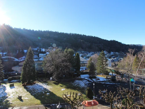 Apartment Le Mont-Dore, 1 bedroom, 4 persons - photo_15315002593