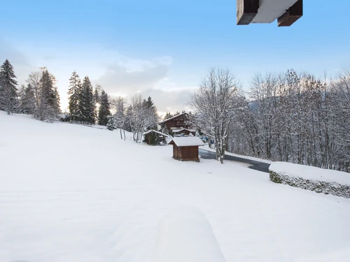 Apartment Megève, 1 bedroom, 4 persons - photo_13728406753