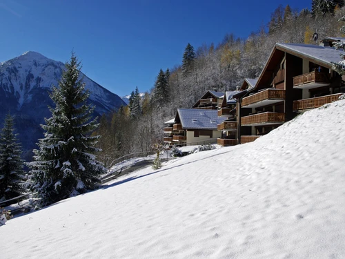 Studio Champagny-en-Vanoise, studio flat, 3 persons - photo_14337308283