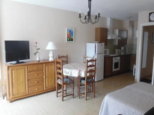 Studio Amélie-les-Bains-Palalda, studio flat, 2 persons - photo_18825861918
