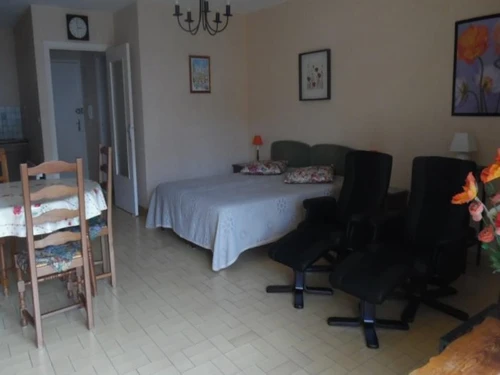 Studio Amélie-les-Bains-Palalda, studio flat, 2 persons - photo_18825861918
