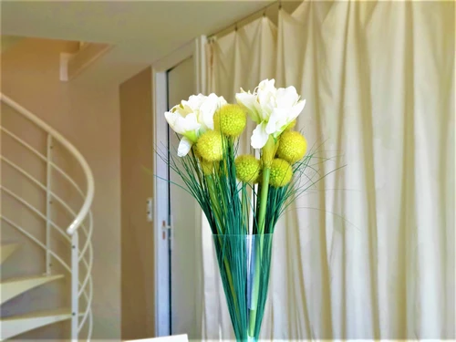 Appartement Sainte-Maxime, 1 pièce, 4 personnes - photo_14687770263