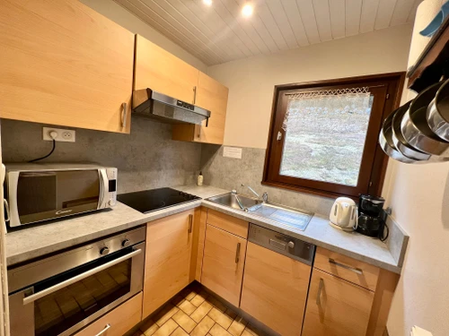 Gîte Rochesson, 3 pièces, 3 personnes - photo_14994463529