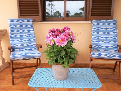 Villa Llucmajor, 4 pièces, 6 personnes - photo_17229465883