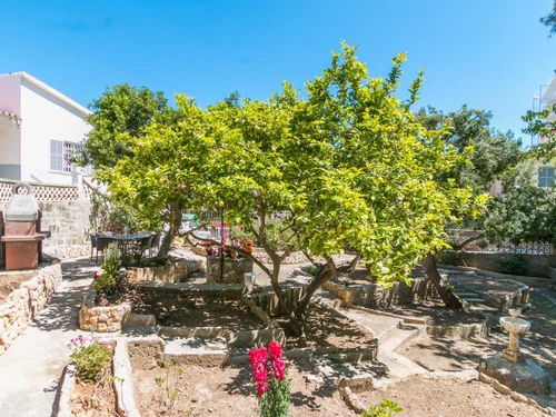 Villa Palma, 4 pièces, 6 personnes - photo_17285325845