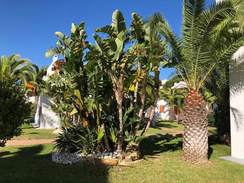 Appartement La Pineda, 2 pièces, 4 personnes - photo_17136715754