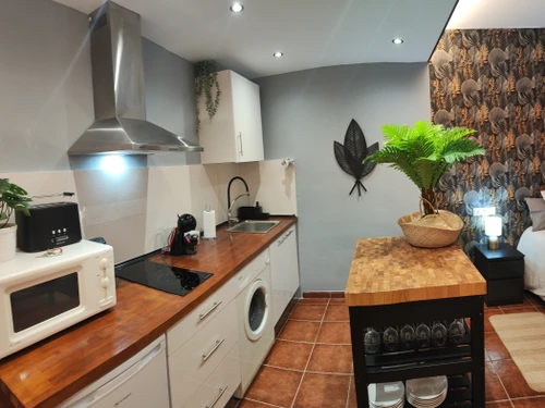 Apartment Torremolinos, 1 bedroom, 2 persons - photo_18254719133