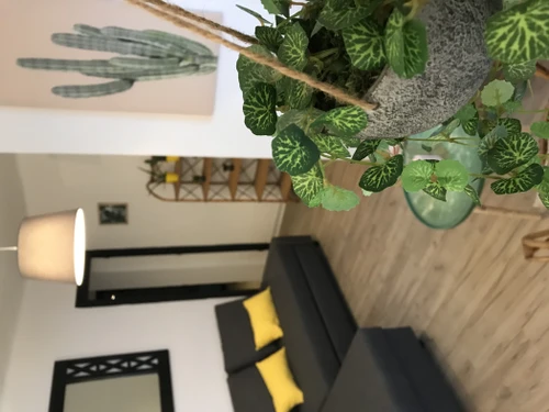 Apartment Torremolinos, 2 bedrooms, 4 persons - photo_18254719532