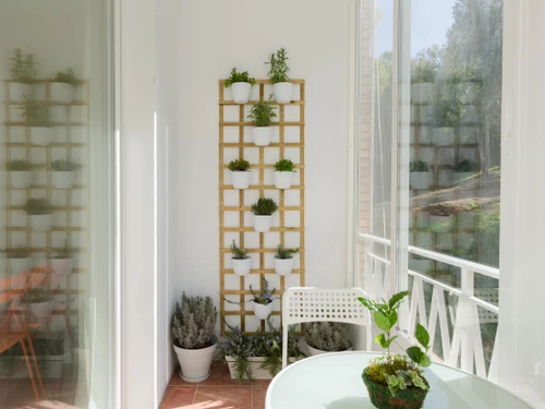 Apartment Málaga, 3 bedrooms, 6 persons - photo_18283956869