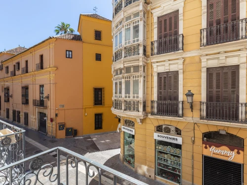 Apartment Málaga, 1 bedroom, 3 persons - photo_18283961564