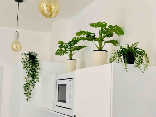 Studio Torremolinos, 1 bedroom, 2 persons - photo_18254719350