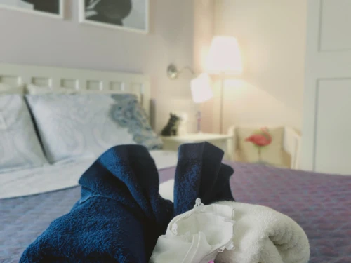 Apartment Málaga, 1 bedroom, 3 persons - photo_18254720643