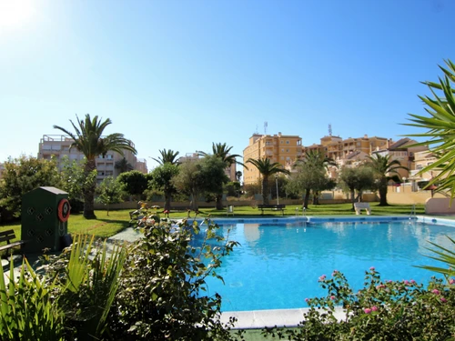 Apartment Torrevieja, 2 bedrooms, 4 persons - photo_18829742938